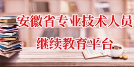 2005 年 1 月